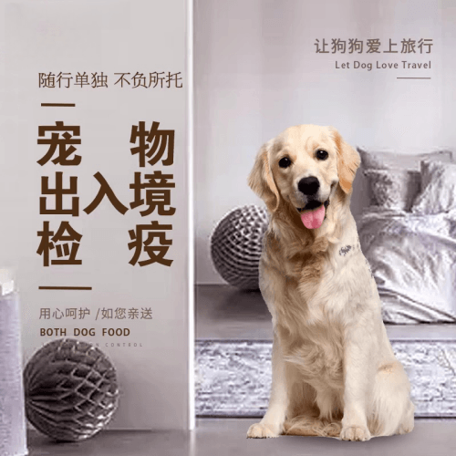 梧州市宠物托运到哥伦比亚猫狗宠物入境规定和