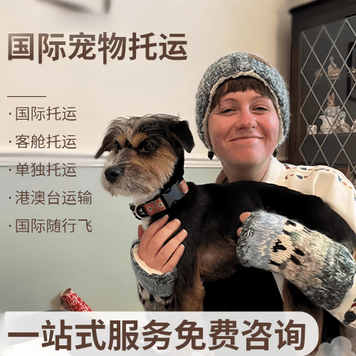 梧州市国际宠物托运到阿根廷宠物入境规定和要