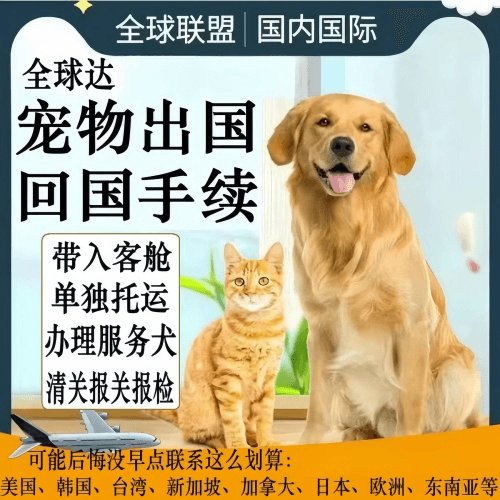 梧州市宠物托运到柬埔寨宠物入境规定和要求