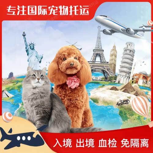 梧州市宠物托运到美国宠物入境最新规定和要求