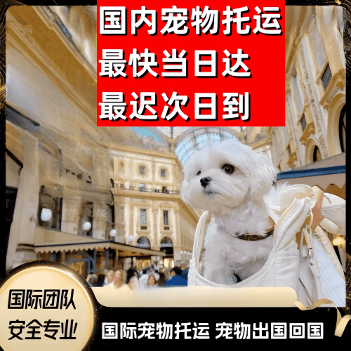梧州市到澳大利亚（澳洲）宠物入境规定和要求
