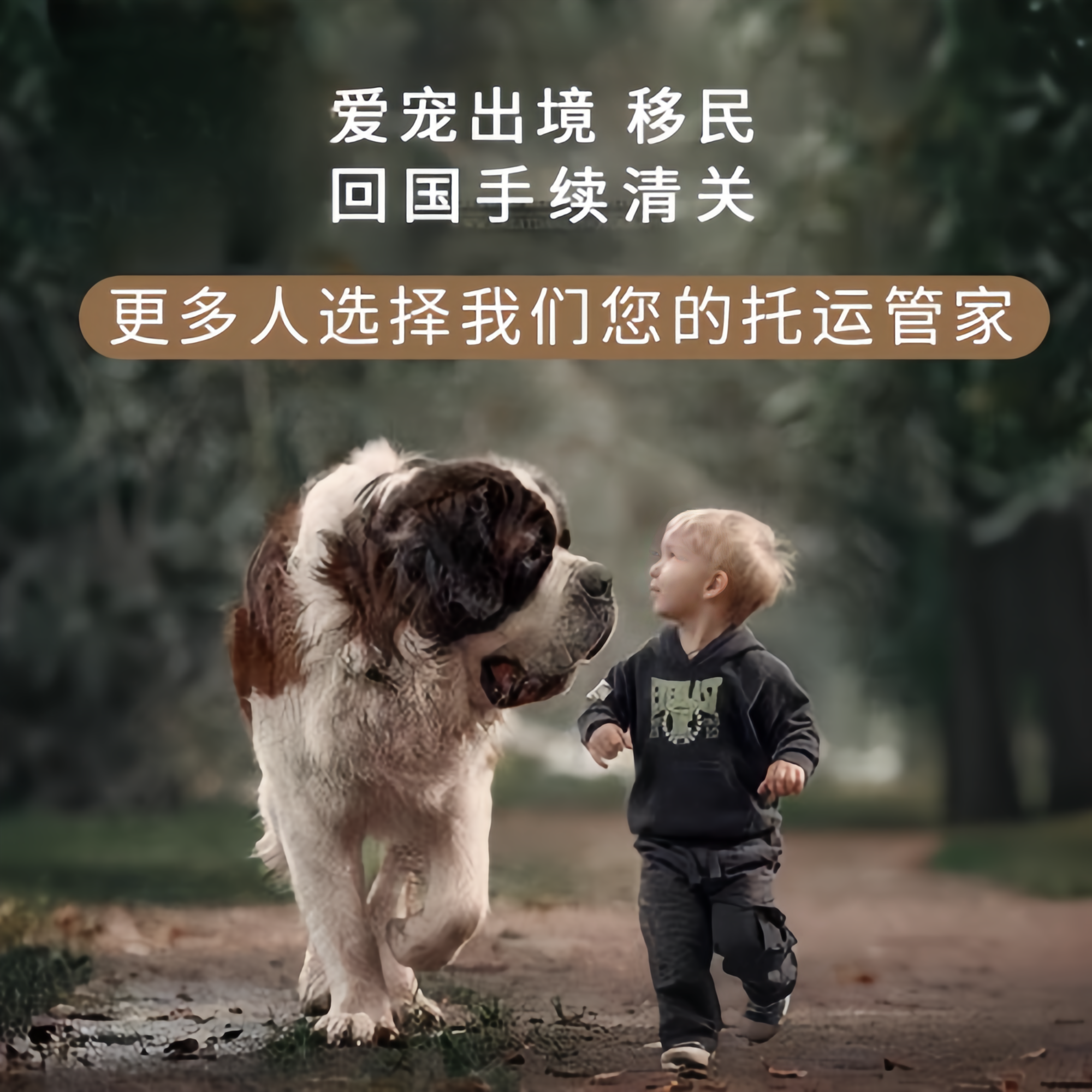 满财梧州市宠物全球达宠物托运在遵守入境目的地政策的条件