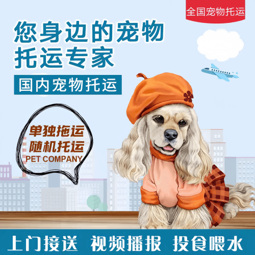 满财梧州市宠物全球达宠物托运作为专业的宠物运输代理机构